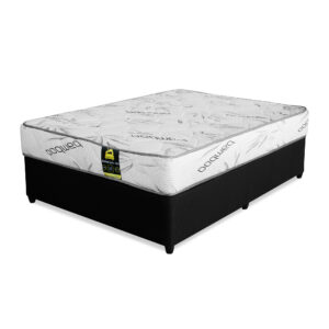 BambooPeadic MK2 Double 137cm Base Set